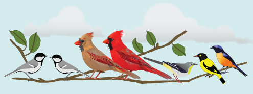 (image for) Small Birds Holder