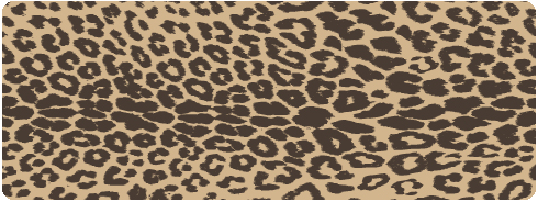 (image for) Notepad-Leopard