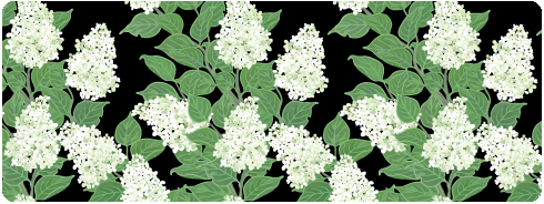 (image for) Notepad-White Lilacs On Black