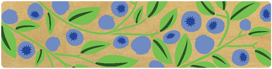 (image for) Large Blueberries Top