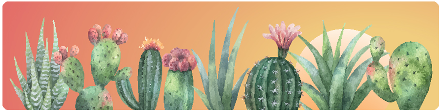 Large Cactus Top