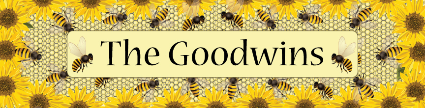 (image for) Large Personalized Bees Top