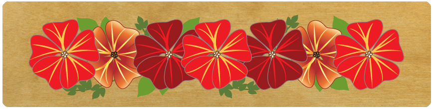 (image for) Large Red Flowers Top