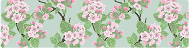 (image for) Large Apple Blossoms on Sage Top