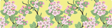 (image for) Large Apple Blossoms on Yellow Top