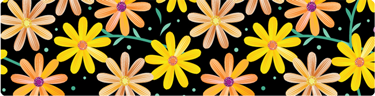 (image for) Large Daisies on Black Top