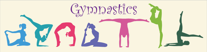 (image for) Large Gymnastics Top