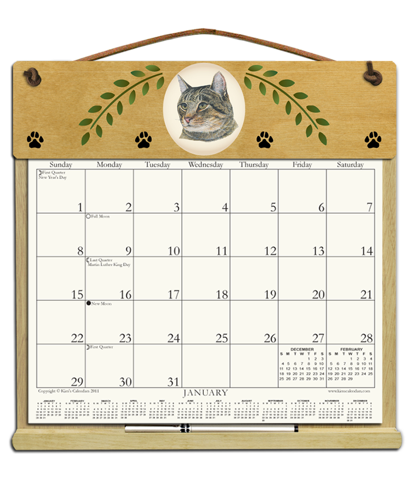 (image for) Cats - $29.75