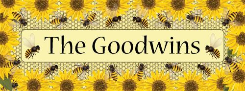 (image for) Small Personalized Bees Top