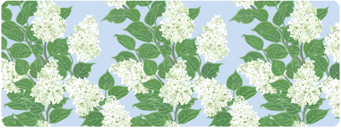 Small White Lilacs On Blue