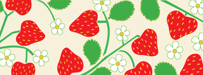 Small Strawberries Holder