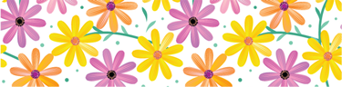 (image for) Large Daisies On White Holder