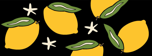 (image for) Small Lemons on Black Holder