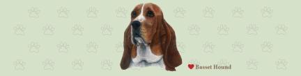 (image for) Large Basset Hound Top (B)