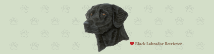 (image for) Large Labrador Retriever - Black Top (B)