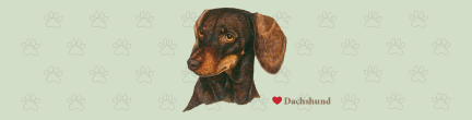(image for) Large Dachshund Top (B)