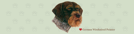 Large German Wirehaired Pointer Top (B)