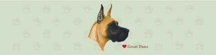 (image for) Large Great Dane Top (B)