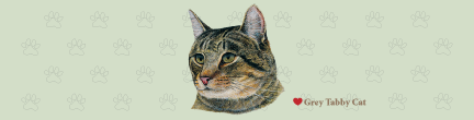 (image for) Large Cat - Grey Tabby Top (B)