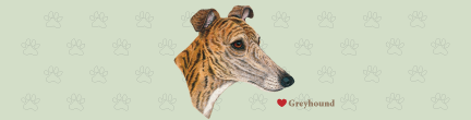 (image for) Large Greyhound Top (B)