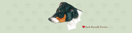 (image for) Large Jack Russell Terrier Top (B)