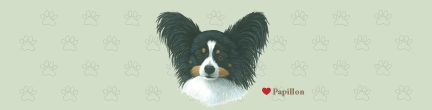 (image for) Large Papillon Large Top (B)