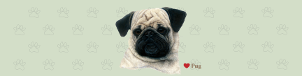 (image for) Large Pug - Fawn Top (B)