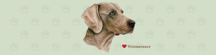 (image for) Large Weimaraner Top (B)