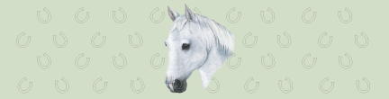 (image for) Large Horse - White Top (B)