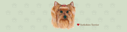 Large Yorkshire Terrier Top (B)